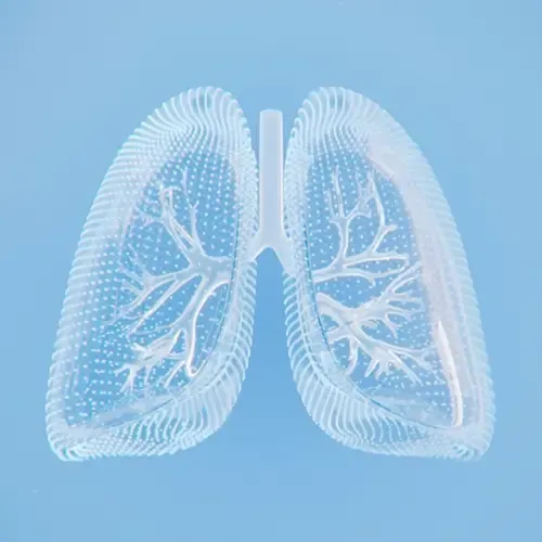 Constipações comuns