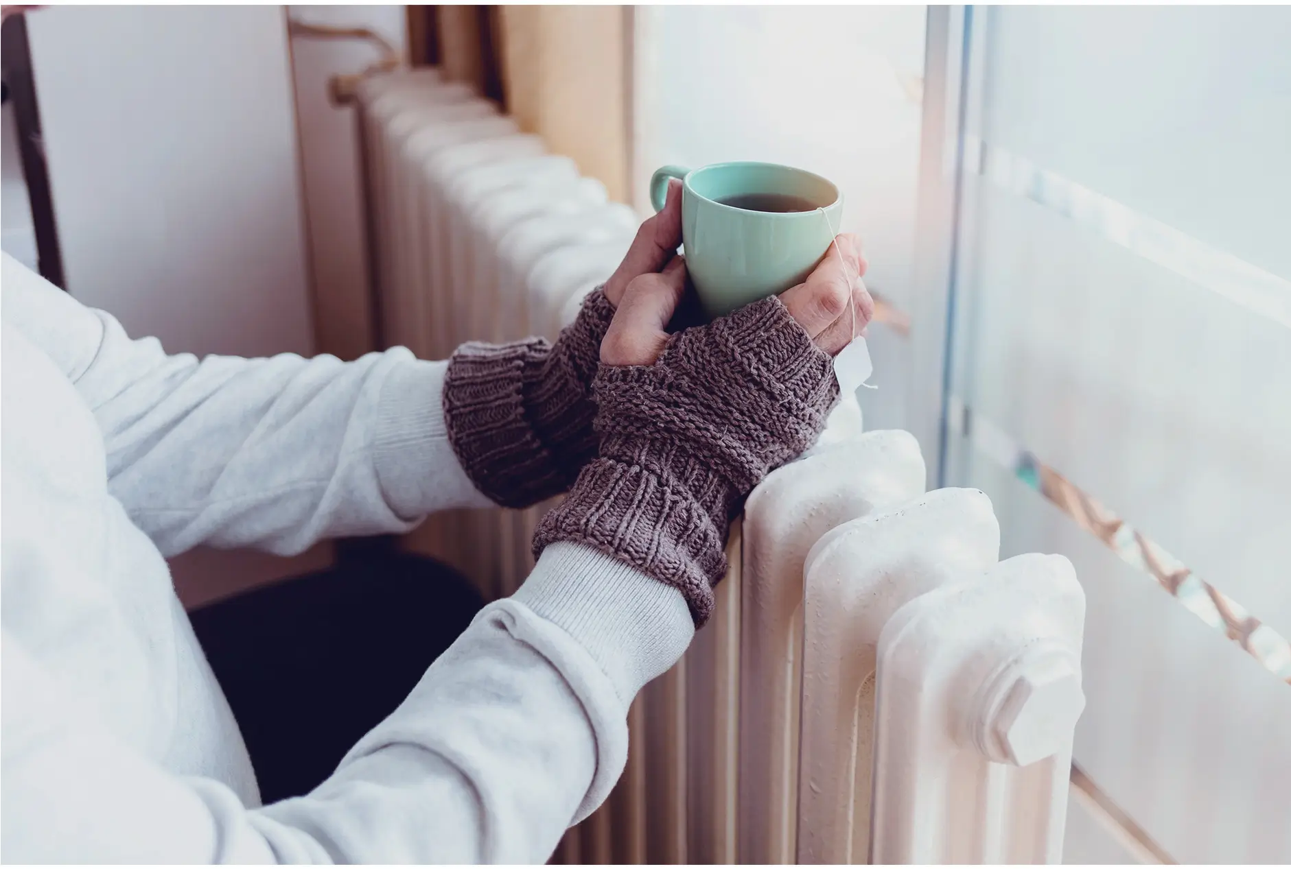 Prevenir constipações e gripes